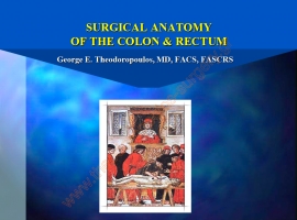 Χειρουργική ανατομία παχέος εντέρου